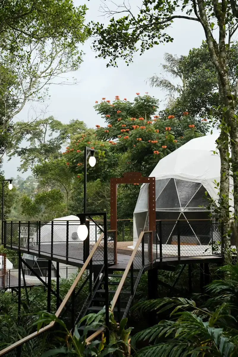 Play, Laugh & Make Memories in the Munnar Hills