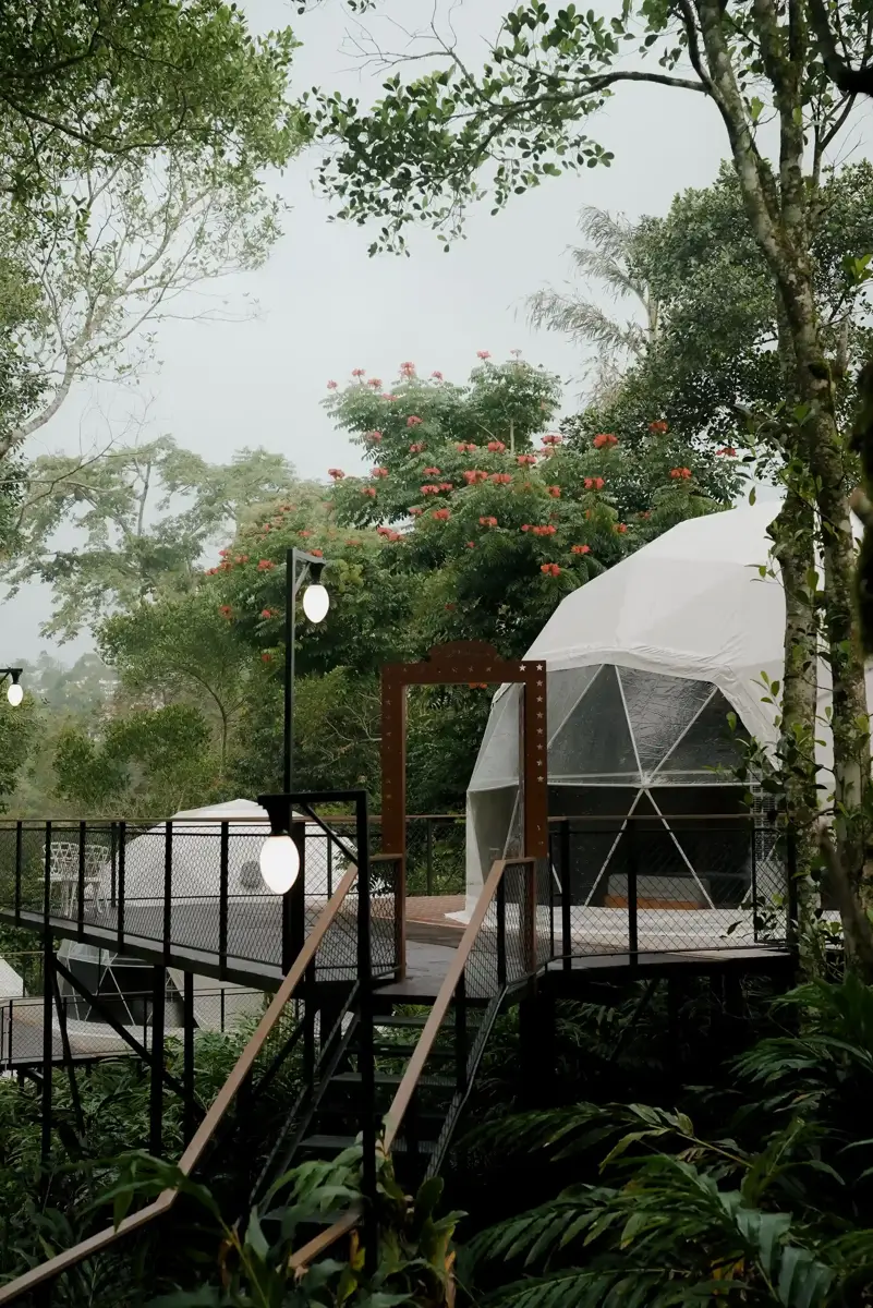 Step Into the Green Side of Munnar