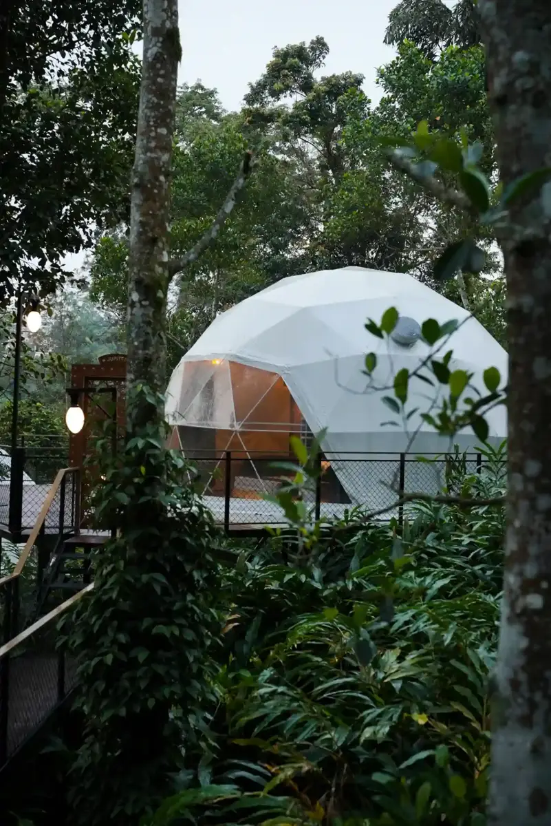 Venus Dome image 7